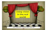 Using vision in the real world Mary Bairstow VISION 2020 (UK) Ltd 1.