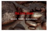 The First Stone Novel Study Questions. Chapter 1 1)The first chapter of a novel should catch the reader’s interest as well as introduce the main character.