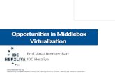 Opportunities in Middlebox Virtualization Prof. Anat Bremler-Barr IDC Herzliya  Supported by European Research Council (ERC) Starting.
