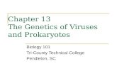 Chapter 13 The Genetics of Viruses and Prokaryotes Biology 101 Tri-County Technical College Pendleton, SC.