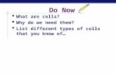 Do Now  What are cells?  Why do we need them?  List different types of cells that you know of…