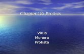 Chapter 18: Protists VirusMoneraProtista. Taxonomic thinking Animals Plants Fungi Protists Monera.