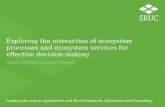 Exploring the interaction of ecosystem processes and ecosystem services for effective decision-making Alistair McVittie & Ioanna Siameti.