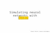 Simulating neural networks with Romain Brette (romain.brette@ens.fr)