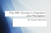 Psy 260: Survey in Cognition and Perception Dr. Susan Brennan.