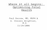 Where it all begins: Optimizing Fetal Health Paul Dassow, MD, MSPH & A. Stevens Wrightson, M.D. 11/29/2006.