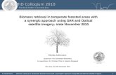 N. Ackermann - Biomass retrieval in temperate forested areas with a synergetic approach using SAR and Optical satellite imagery - 1 Nicolas Ackermann Supervisor: