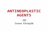 ANTINEOPLASTIC AGENTS BY: Israa Eltayib. Cancer pathogenesis and cancer chemotherapy: general principles The term cancer refers to a malignant neoplasm(new.
