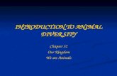 INTRODUCTION TO ANIMAL DIVERSITY Chapter 32 Our Kingdom We are Animals.