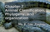 Chapter 7 Animal Classification, Phylogeny, and organization Ms. K. Cox, Zoology.