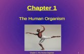 Chapter 1 The Human Organism Chapter 1: The Human Organism1.