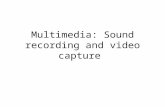 Multimedia: Sound recording and video capture. SOUND CAPTURE.