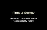 Firms & Society Views on Corporate Social Responsibility (CSR)