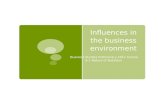 Influences in the business environment Business Studies Preliminary 2012 Course 9.1 Nature of Business.