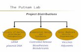 The Putnam Lab Delivery of Nucleic Acid-Based Therapeutics Biomaterial Design and Synthesis Project Distributions Outer Membrane Vesicle Engineering siRNA.