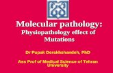 Molecular pathology: Physiopathology effect of Mutations Dr Pupak Derakhshandeh, PhD Ass Prof of Medical Science of Tehran University.