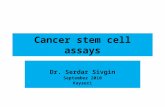Cancer stem cell assays Dr. Serdar Sivgin September 2010 Kayseri.