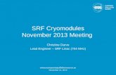 SRF Cryomodules November 2013 Meeting Christine Darve Lead Engineer – SRF Linac (704 MHz)  November 21, 2013.