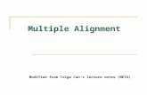 Multiple Alignment Modified from Tolga Can’s lecture notes (METU)