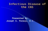 Infectious Disease of the CNS Presented By: Joseph S. Ferezy, D.C.