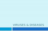 VIRUSES & DISEASES. Viral Transmission  Viruses can be transmitted in many different ways:  Respiratory (coughing, sneezing, etc.)  Blood, body fluids,