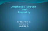 By Melanie E. Alexis C. Lavinia G.. General Functions Lymphatic System circulates the lymph fluid throughout the body Immunity= Lymph fluid consisting.