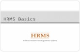 HRMS Basics. Overview What is HRMS? HRMS Functions and Features Concepts and Terms Position/Incumbent/Funding Relationship Funding Documents Security.