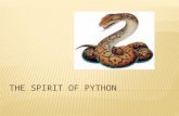 One of the only named spirits in the  Bible, the python spirit is a coiling  spirit that works to squeeze out the breathe of life (the Holy Spirit)