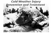 Cold Weather Injury Prevention and Treatment. Terminal Learning Objective Action: Protect yourself and your fellow Soldiers from cold weather injuries.