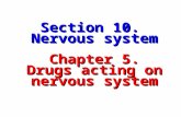 Section 10. Nervous system Chapter 5. Drugs acting on nervous system Section 10. Nervous system Chapter 5. Drugs acting on nervous system.