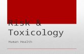Risk & Toxicology Human Health. What is risk? Possibility of suffering harm from a hazard (can cause injury, disease, death, economic loss, or environmental.
