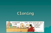 Cloning. What is cloning?  Duplicating biological material –Natural clones exist!! Identical twins –Asexual reproduction  Three types: 1.Recombinant.