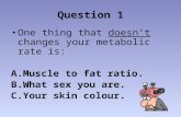 One thing that doesn’t changes your metabolic rate is: A.Muscle to fat ratio. B.What sex you are. C.Your skin colour. Question 1.
