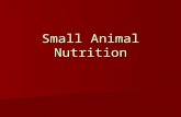 Small Animal Nutrition. What is nutrition? Nutrition – refers to the animal receiving a proper and balanced food and water ration so that is can grow,