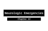 Neurologic Emergencies Chapter 13. Brain Structure.