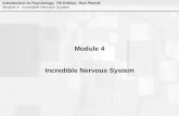 Introduction to Psychology, 7th Edition, Rod Plotnik Module 4: Incredible Nervous System Module 4 Incredible Nervous System.