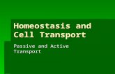 Homeostasis and Cell Transport Passive and Active Transport.