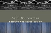 Cell Boundaries Keeping the world out of our cell.