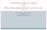 MICHELLE KAHLENBERG SENIOR TALK MARCH 19 TH /20 TH 2009 Understanding Lupus OR Why Rheumatology Is So Cool.