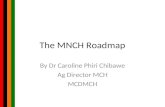 The MNCH Roadmap By Dr Caroline Phiri Chibawe Ag Director MCH MCDMCH.