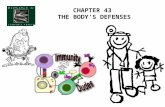 CHAPTER 43 THE BODY’S DEFENSES. Why does the body need a DEFENSE SYSTEM? Foreign invaders (non-self), cancerous cells (self) Nonspecific Defenses Against.