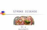 STROKE DISEASE In a nutshell. The Prevention and Management of Stroke by Dr Irfan Shakir.