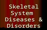 Skeletal System Diseases & Disorders. Osteoporosis.