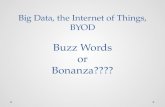 Big Data, the Internet of Things, BYOD Buzz Words or Bonanza????