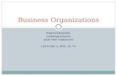 PARTNERSHIPS, CORPORATIONS AND THE VARIANTS LECTURE 2, PGS. 31-74 Business Organizations.