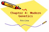 Chapter 4: Modern Genetics Review. An example of a trait that has multiple alleles.