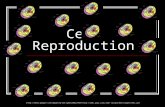 Cell Reproduction .
