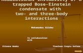 Modulational instability of a trapped Bose-Einstein condensate with two- and three-body interactions Mohamadou Alidou In collaboration with Etienne WambaTimoleon.