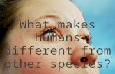 What makes humans different from other species?. Particularly chimpanzees, or gorillas, our closest ancestors.