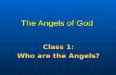 The Angels of God Class 1: Who are the Angels?. Reasons to Study the Angels 1.They reveal God’s character to us 2.They are part of the “whole family of.